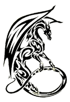 DRAGONVET FABRICATIONS LLC